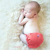 Kanga Care Lil Joey Preemie & Newborn Cloth Diapers - Spice