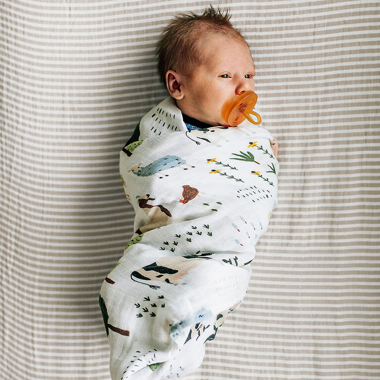 Red Rovr-Organic Cotton Muslin Swaddle Blanket - Family Farm