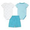Nike Shorts Set - Dusty Cactus - Size 3 Months