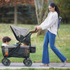 3Dlite Wagon Stroller