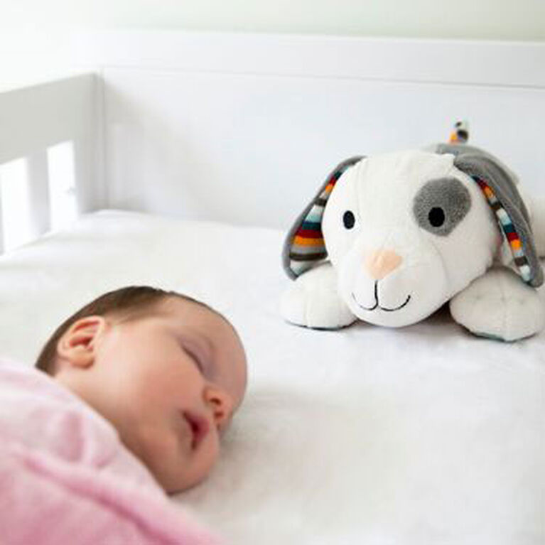 Zazu Dex Plush Toy with Heartbeat Sound Babies R Us Canada