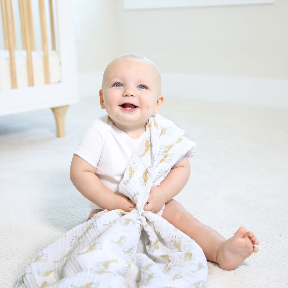 Aden Anais Essentials 4 Pack Muslin Swaddles Natural History