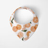 Dribblebib Bandana Bib 2Pack Peach 6M+