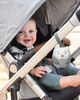 Skip Hop - Stroll et Go Portable Baby Soother - Owl