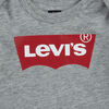 Combinaision Levis Batwing - Gris