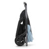 Bugaboo Dragonfly - Graphite/Black-Blue