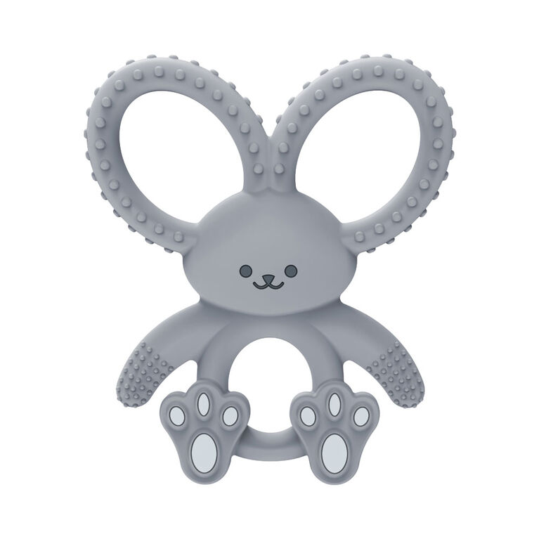 Dr. Brown's Bunny Long Limbed Silicone Teether - Assortment May Vary