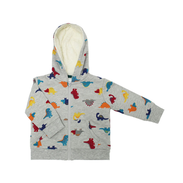 Codkkre Sweats à Capuche Garçon Veste Dinosaure Enfant Garcon Pull Garcon En Coton Sweatshirt Zippé Pour Enfants, Style 1, 4 Ans