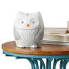 Skip Hop Moonlight & Melodies Nightlight Soother - Owl