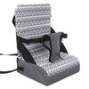 Dreambaby® Grab 'N Go Booster Seat
