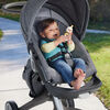 Fisher Price Clack & Quack Goose Baby Toy with Fine Motor Activity for Newborns