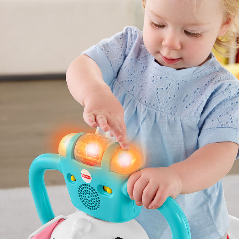 Fisher-Price - Chiot Tourni Rebond