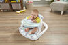 Fisher-Price Deluxe Sit-Me-Up Floor Seat - Pebble Stream, Baby Chair