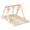 Ritzy Activity Gym Pastel