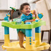 Exersaucer Bounce And Learn Zoo Friends