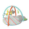 Bright Starts Tapis d'éveil Hug-n-Cuddle Elephant