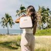 Petunia Pickle Bottom - Sync Tandem Bottle/Lunch Tote - Grey Matte