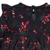 Gerber Childrenswear - 2 Pack Babydoll Dress - Girl - Holly Berries 12 months