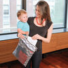 Skip Hop Grab & Go Wet/Dry Bag, Chevron