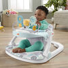 Fisher-Price Deluxe Sit-Me-Up Floor Seat - Pebble Stream, Baby Chair