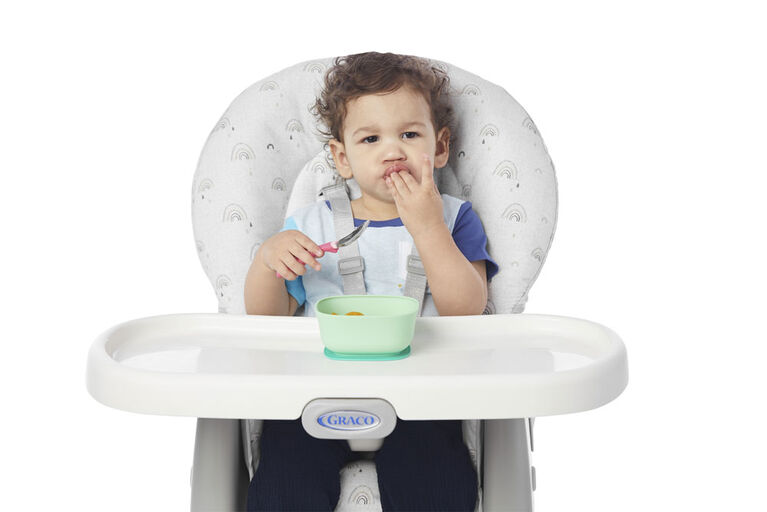 Graco SimpleSwitch 2-in-1 Highchair, Reign