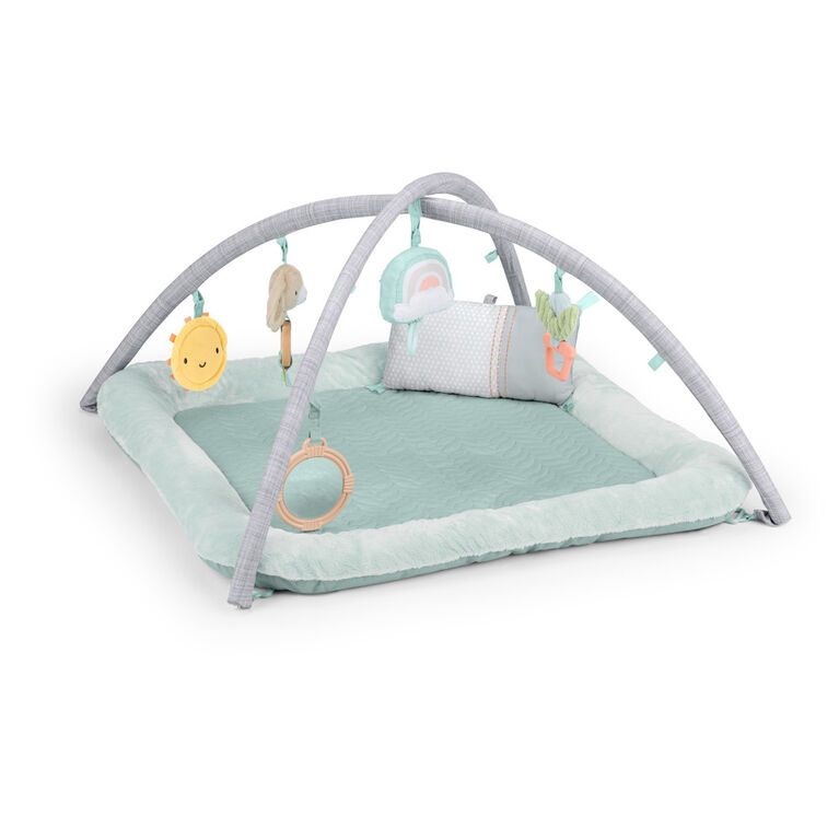 Calm Springs Plush Activity Gym - Chic Boutique