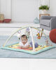 ABC & Me Activity Gym