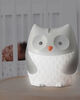 Moonlight & Melodies Owl Soother