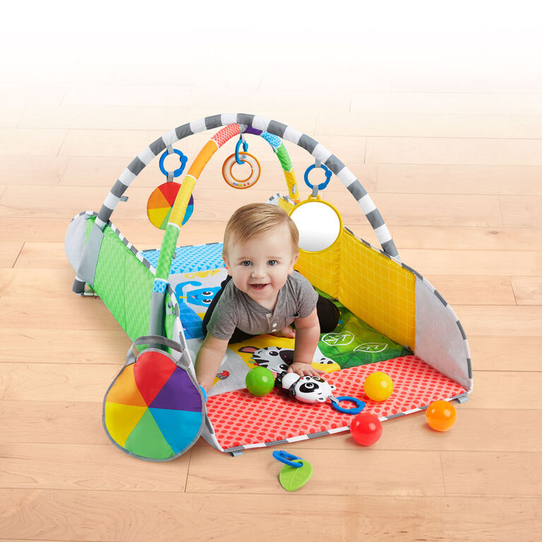 Patch's 5-in-1 Color Playspace Activity Play Gym & Ball Pit