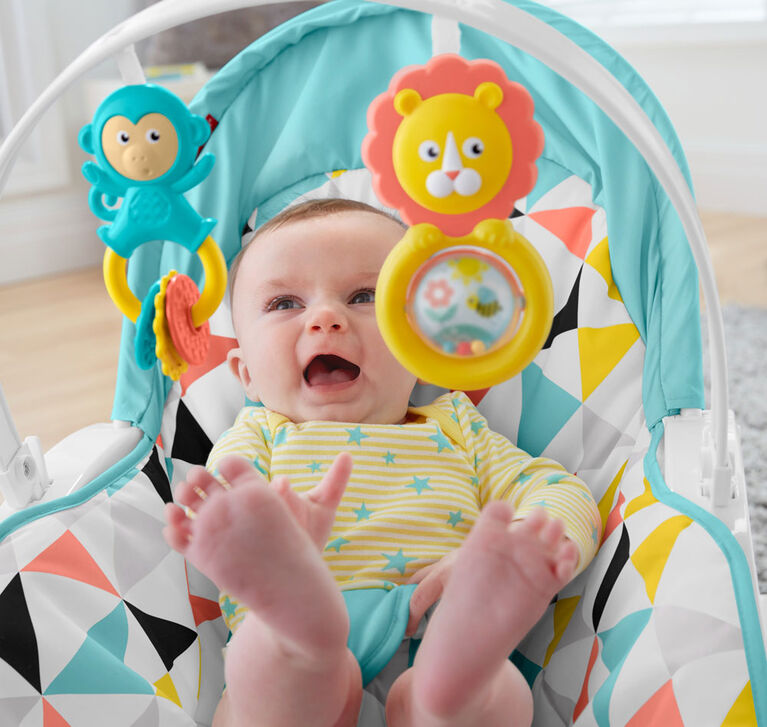 Fisher-Price Newborn-to-Toddler Portable Rocker