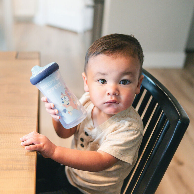 Bluey Insulated 9oz Sippy Cup 2Pk