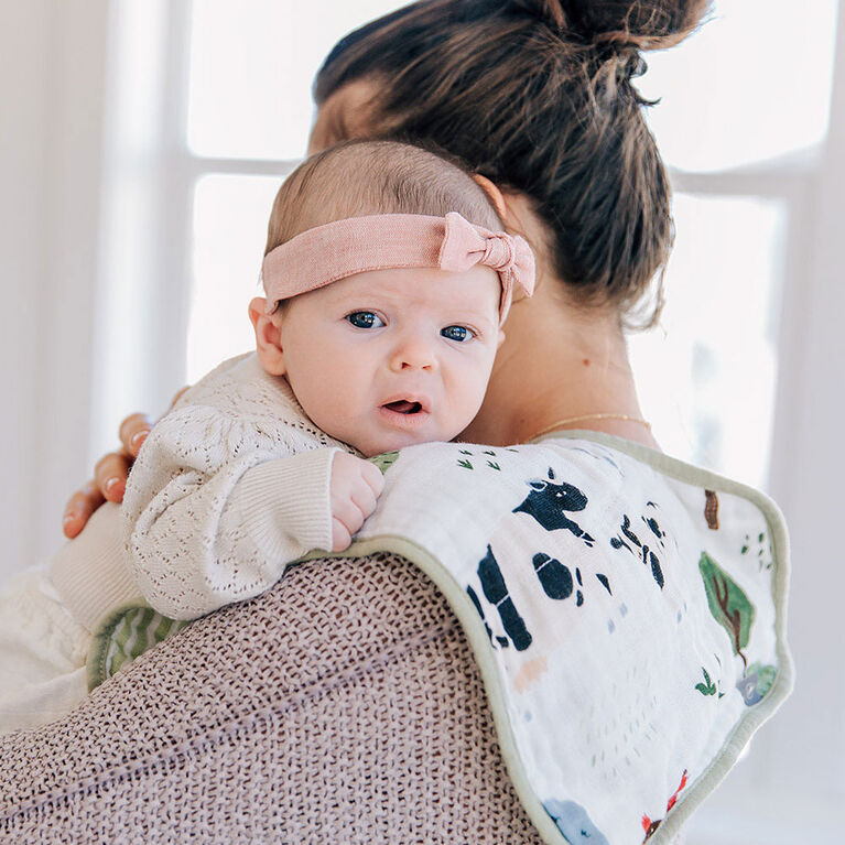 Red Rover Cotton Muslin Burp Cloth Family Farm Babies R Us Canada