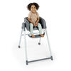 Ingenuity Proper Positioner 7-in-1 High Chair - Parker