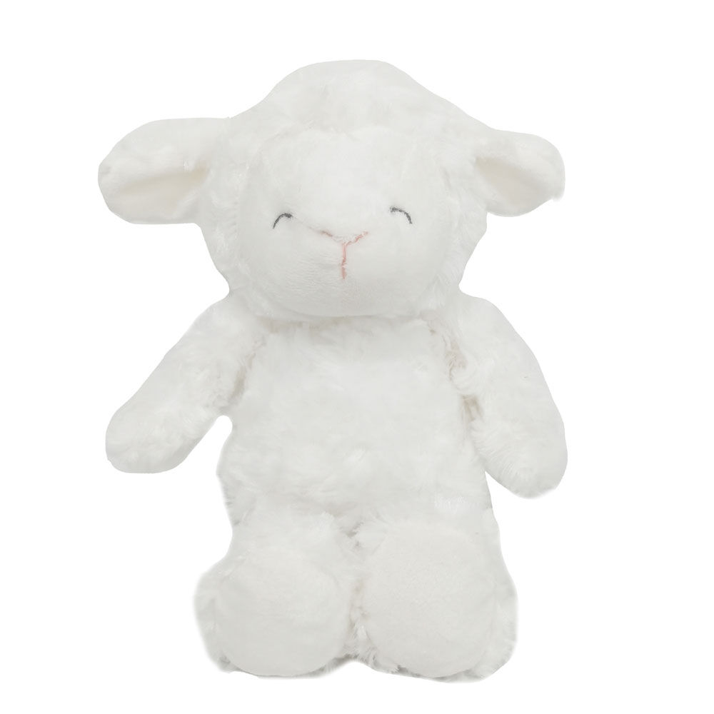 Carter's musical shop plush