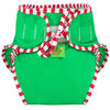 Kushies Swim Diaper, Medium - Green