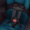 Evenflo Tribute LX Convertible Car Seat - Bennett