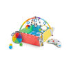 Patch's 5-in-1 Color Playspace Activity Play Gym & Ball Pit