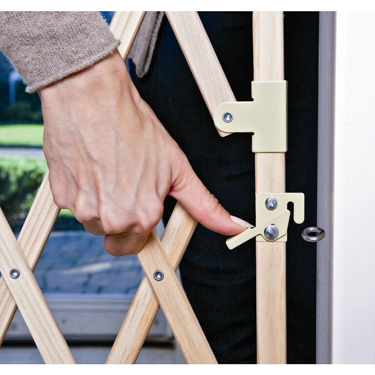 Evenflo Expansion Swing Wide Gate