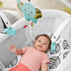 Fisher-Price Soothing Motions Bassinet - Falling Leaves