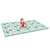 Fisher Price Funtime Gelli Mat