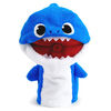B1-Water Blasting Puppets-Daddy Shark