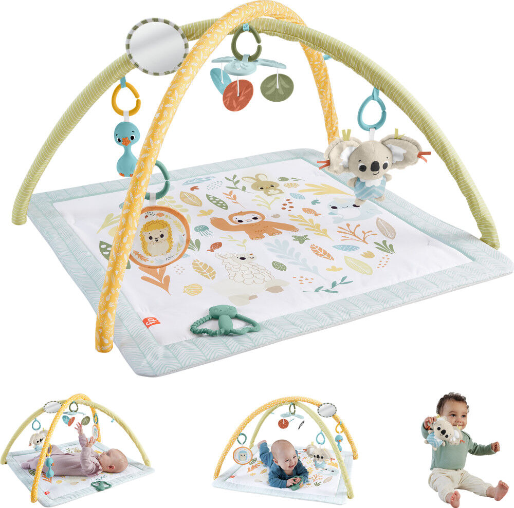 Play gym babies r us best sale
