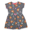 Robe Pat' Patrouille - Gris
