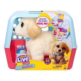 Aïe ! Little Live Pets - Cooper, le chiot retriever