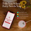 Owlet Smart Sock Baby Monitor Generation 3 Deep Sea Green