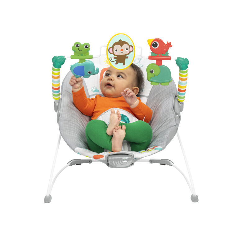 Playful Paradise Vibrating Bouncer