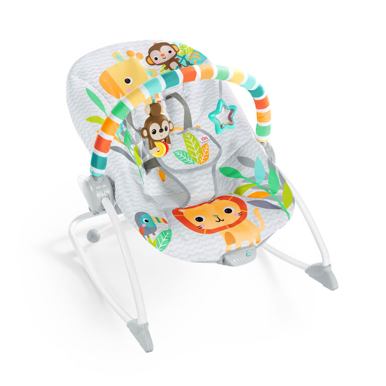 Wild Vibes Infant to Toddler Rocker – Kids2 Inc