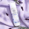 The Honest Company - 296mL Conditioner Dreamy Lavender