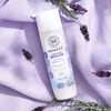 The Honest Company - 296mL Revitalisant Dreamy Lavender