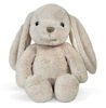 Bubbly Bunny Le lapin aux Sons Apaisants de Cloud B